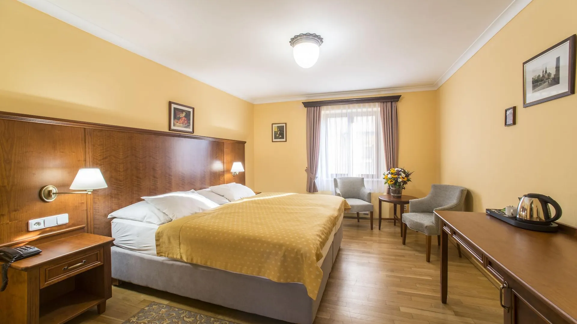 Hotel Cerny Slon Prague