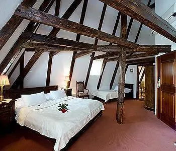 Hotel Cerny Slon Prague 4*,